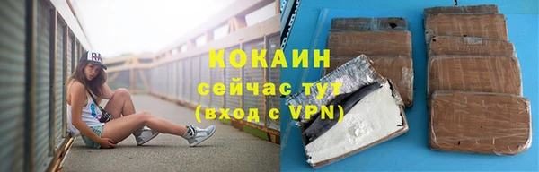 крисы Краснослободск