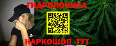 кокс Гай