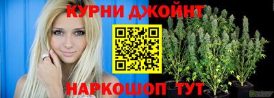 кокс Гай