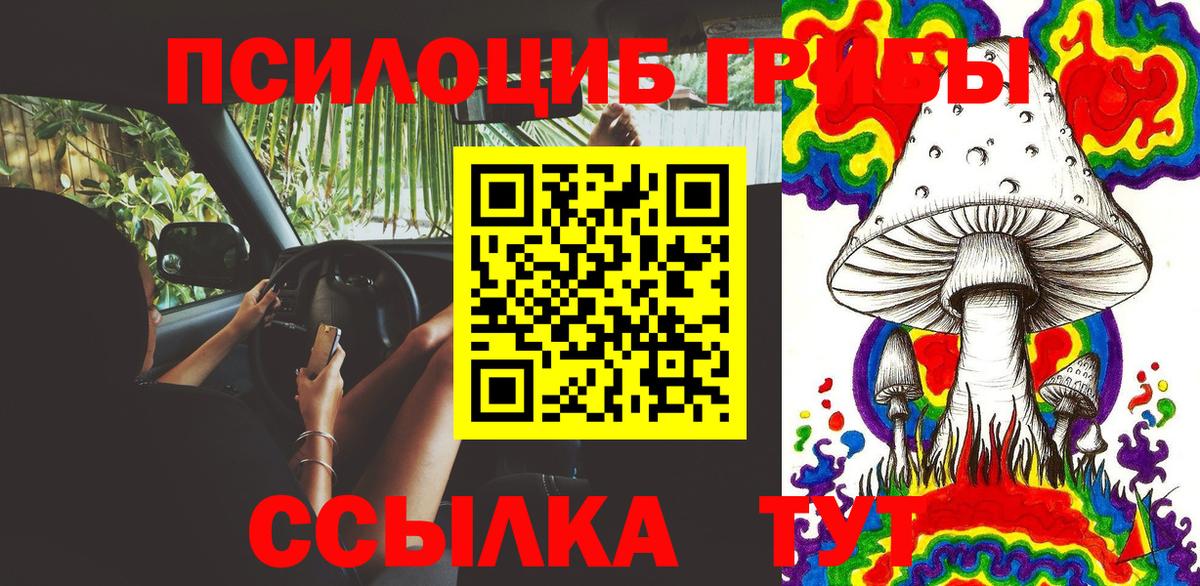 Галлюциногенные грибы Psilocybe  Галлюциногенные грибы Psilocybe  Вход с VPN  Нягань 