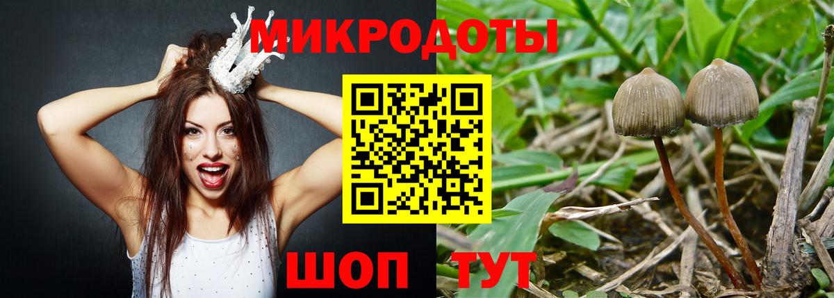 Псилоцибиновые грибы GOLDEN TEACHER Нягань