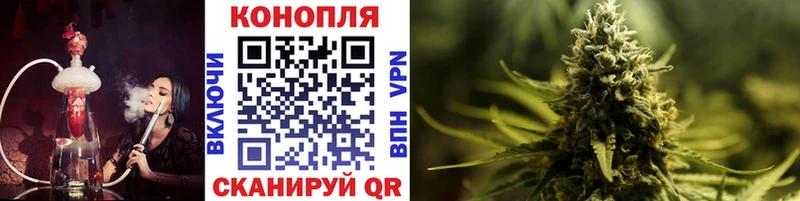 Бошки Шишки планчик Нягань